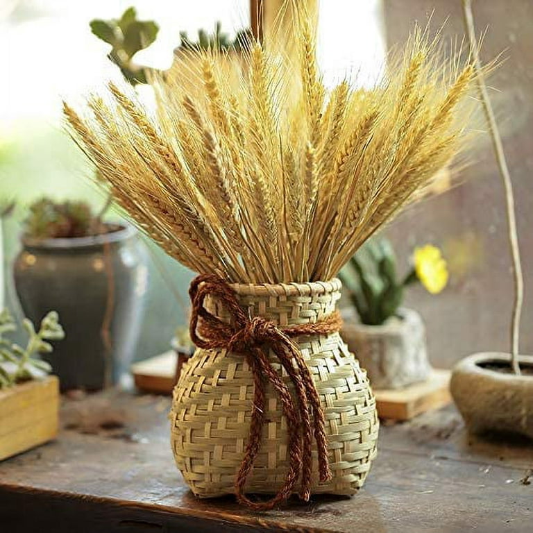 3pcs Pure natural dried plants christmas tree shape plants bunch decor  dried flower real natural christams flower