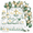 Baptism, variant on 307 Alien Birthday Decorations All-in-one Set For 25 Guests