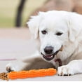 thumbnail image 3 of KMWGRE Indestructible Dog Bone Chew Toy for Teeth Cleaning Care Interactive Squeaky Chew Stick Brush Puppy Chewing Bone for Aggressive Chewers Orange 23X4CM, 3 of 5