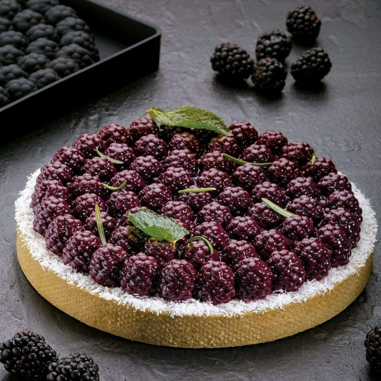 Pavoni TOP24 Silicone Baking Mold Freezing Mould, Blackberry