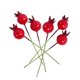 thumbnail image 4 of BRIGHTFUFU 50Ud Pomegranate Prop Para Duradera En Muestras Y Escenarios, 4 of 8