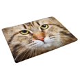 thumbnail image 2 of MKHERT Close-up Portrait of Siberian Cat Kitten Face Doormat Rug Home Decor Floor Mat Bath Mat 30x18 inch, 2 of 3