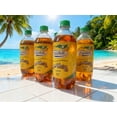 thumbnail image 3 of FRESHÉA Cola Champagne Soda, Caribbean Flavor, 20 fl oz Bottles, 6 Pack, 3 of 5