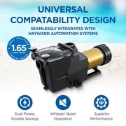 Hayward Super Pump XE 1.65 HP Ultra-High Efficiency Pump, W3SP2610X15XE