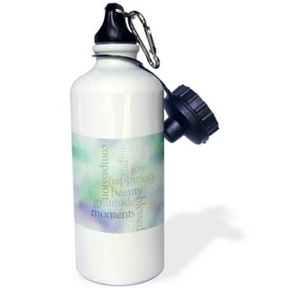 BOTTLE JOY Stainless-Steel Water Bottle: Leakproof Lid, Perfect Sip, D