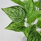 thumbnail image 2 of Inteprter Ramo de hojas de plantas artificiales, simulación de hojas de eneldo verde, ramo de para el hogar y la Oficina, decoración de plantas Plantas Artificiales No.03 Inteprter HA7138-03B, 2 of 6