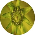 thumbnail image 1 of Ahgly Company Tapis d'Intérieur Rond Lavable en Machine Vert Olive Transitionnel, 8 Pieds Rond, 1 of 7