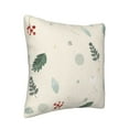 thumbnail image 2 of Square Throw Pillow Covers with Core, Red Fruit Beige Illustration Pillows for Sofa Beds, 16"x16", 2 of 9