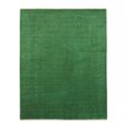 thumbnail image 1 of Tapis de Zone-LL4GN8X10, 1 of 2