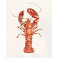 thumbnail image 2 of Caroline, Emma 12x14 Gold Ornate Wood Framed with Double Matting Museum Art Print Titled - Salty Lobster II, 2 of 4