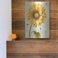 thumbnail image 5 of Luxe Metal Art 'Under The Sun I' by Lisa Audit, Metal Wall Art,, 12"x16", 5 of 9