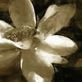 thumbnail image 2 of Bay, Noah 26x26 White Modern Wood Framed Museum Art Print Titled - Bronze Lily III, 2 of 4