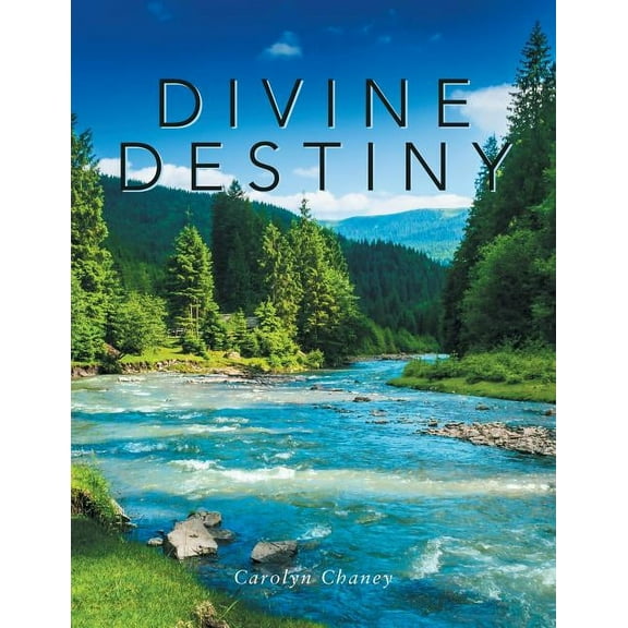 Divine Destiny (Paperback)