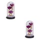 thumbnail image 1 of Advancent Rose Flower In Day Light LED Valentine's Decor Type3 NO3, 1 of 1