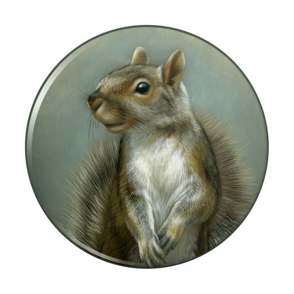 Mischievous Squirrel Pinback Button Pin