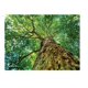 thumbnail image 3 of Cardinal: Rompecabezas de Viaje - Arbol 100 Piezas Spin Master 6061787, 3 of 3