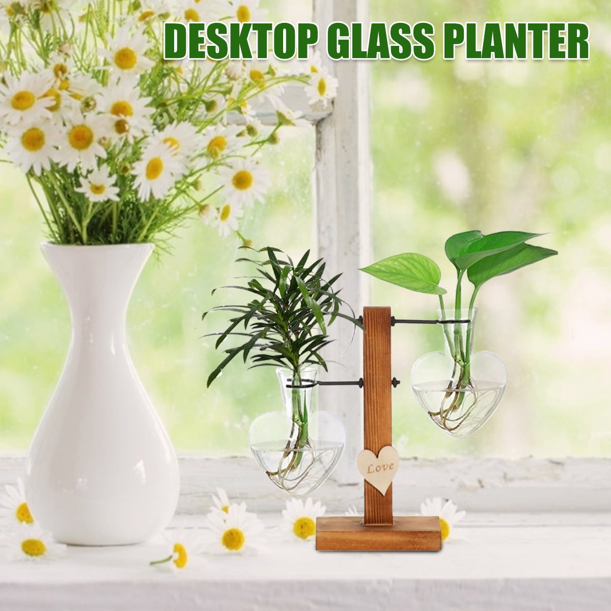 Littleduckling Glass Plant Terrarium with Wooden Support Stand Creative