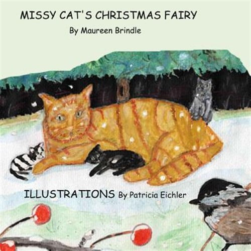 Pre-Owned Missy Cat's Christmas Fairy: Missy Cat and Her Kittens Are Rescued by a Poor Farmer, Who Is Rewarded by a Christmas Fairy. a Children's Story in Ve