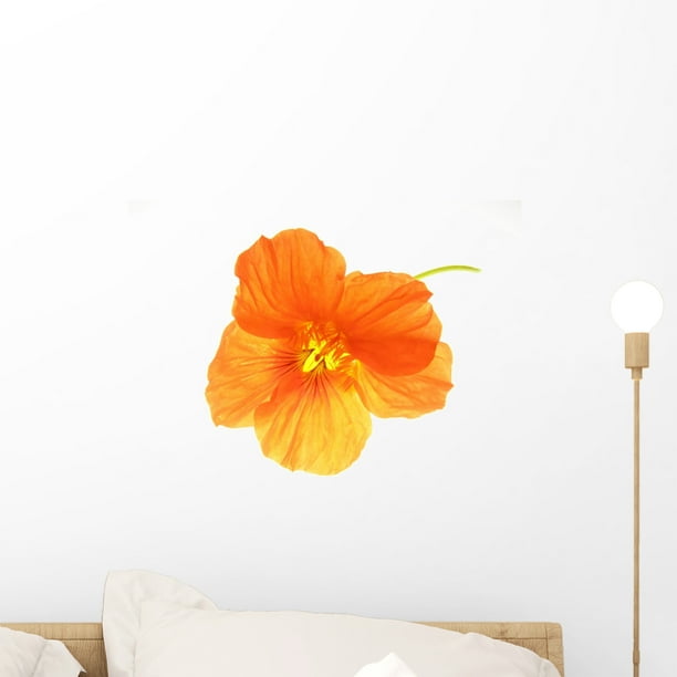 Orange Flower Wall Decal by Wallmonkeys Peel and Stick Graphic (18 in W