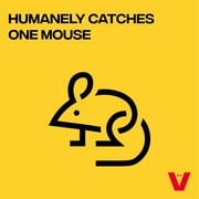 Victor Live Catch Mouse Trap - Humane Catch and Release Trap for Mice - Indoor and Outdoor Use - 2 Pack