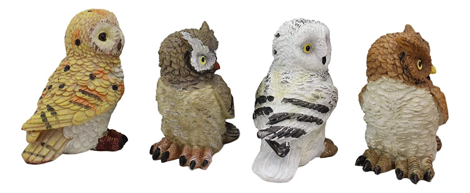 Ebros Colorful Nocturnal Owls Of The World Miniature Figurine Set