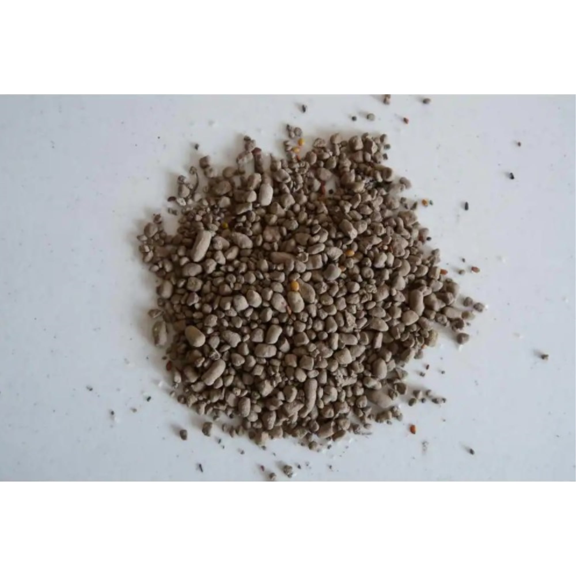 Zinnia Mix Earth Science, 2lb
