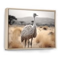 thumbnail image 2 of Designart "Africa Ostrichs beauty III" Animals Floater Framed Wall Decor, 2 of 7