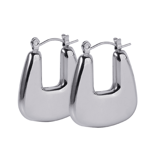 LuckyLy Aretes Mujer Oro 14k o Plata tipo Arracadas, Acero Inoxidable Baño Oro 14k o Color Plata – Accesorios y Joyería Mujer, Regalos para Mujer Cumpleaños y Regalos para Mamá plateado Unitalla
