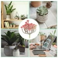 thumbnail image 5 of Plantas suculentas artificiales mini Uxcell sin maceta, suculentas falsas, suculentas texturizadas realistas, rojas, paquete de 2, 5 of 5