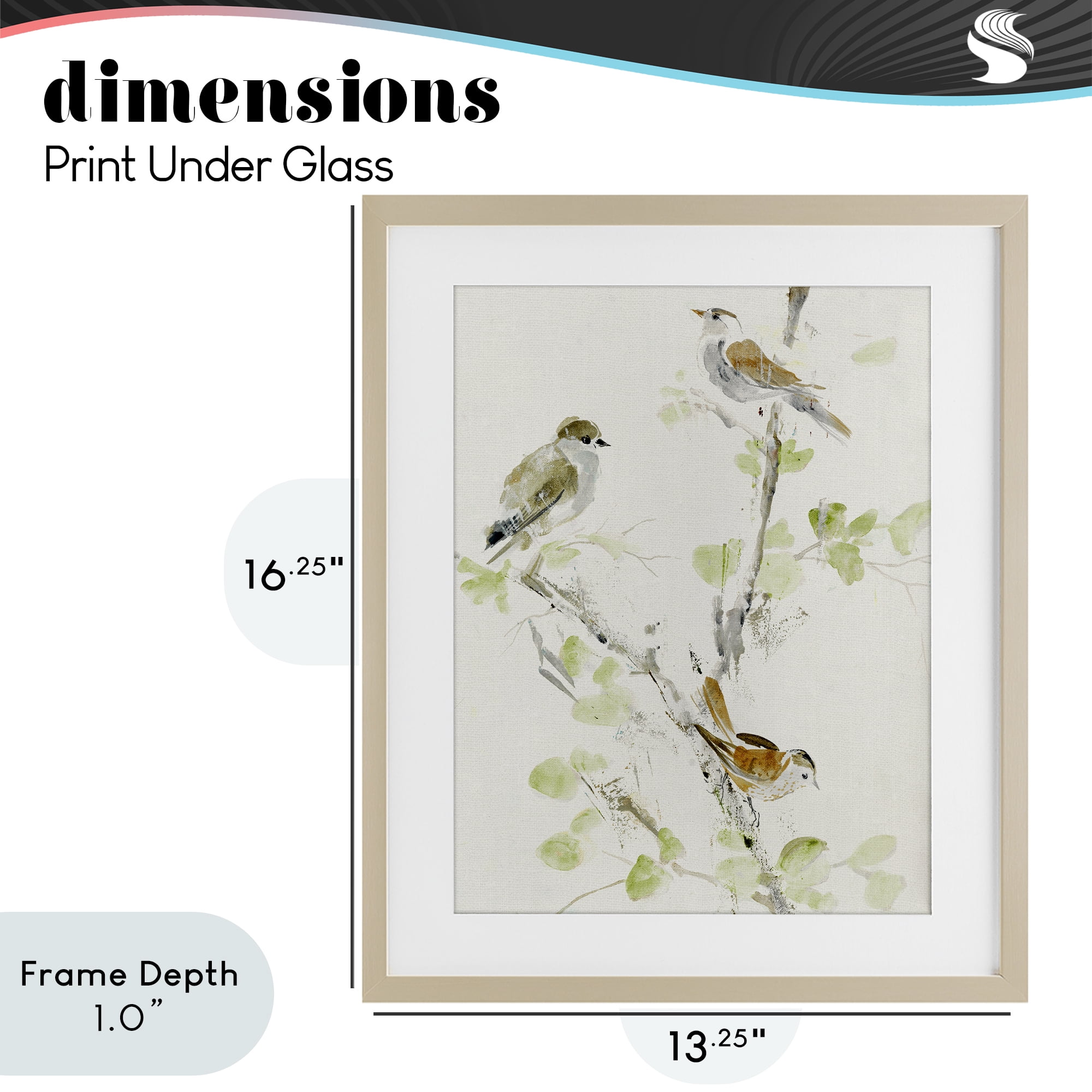 Stupell Industries Delicate Feathers Abstraction Birch Framed Print Under Glass, design by Lorenzo Collective