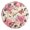 Butterflies on Peonies, variant on Dailycode Round Wall Clock Battery Operated Silent Non-Ticking Hanging Clock 10" Cartoon Sharks with Skateboard