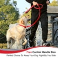 thumbnail image 6 of Lynxking Webbing Dog Leash, 6 ft Dog Walking Lead with Padded Handle and Welded D-Ring for Large Medium Small Dogs, 6 of 8