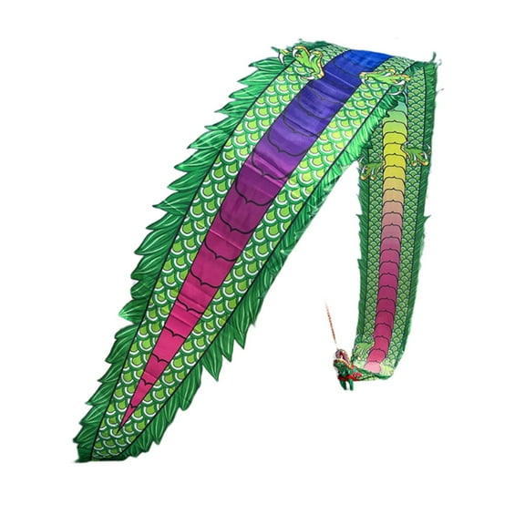 Dance ribbons colorful dragon with head, dragon dance dragon ribbon streamer dragon dance lion dance props for square exercise outdoor fitness for the garden park beach