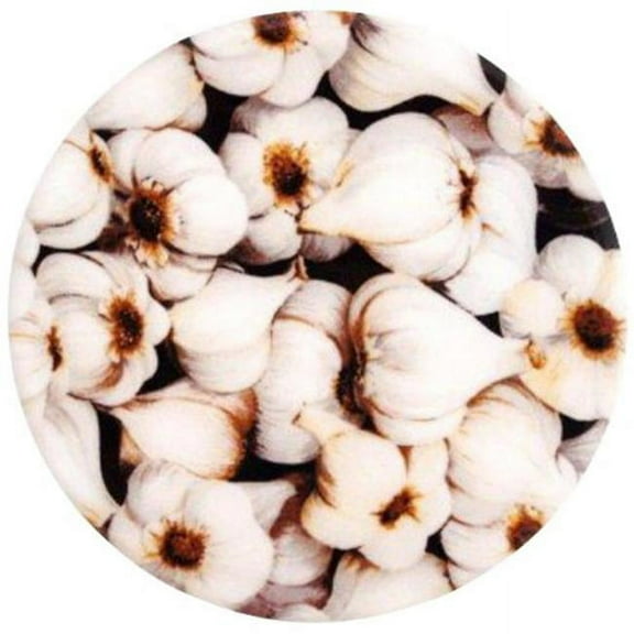 Andreas TR-920 Garlic Silicone Trivet - Pack of 3 trivets