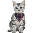 thumbnail image 4 of LAICAIW Breakaway Cat Collar with Bells-2 Pack Cat Collar with Bells, Cat Collars with Bandana, Accessories for Pet Collars, Adjustable for Cats and Small Dogs (Red and White), 4 of 6