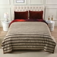 thumbnail image 2 of NC Faux Fur & Warm Fleece Blanket King Size 85"x93", A & B Printed Patterns 3-Ply Heavy Thick Microfiber Plush Blanket 8.5LB, Lion & Brown, 2 of 8
