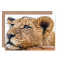 thumbnail image 1 of Lioness Relaxin Head Cute Big Cat Greetings Card Plus Envelope Blank inside, 1 of 3