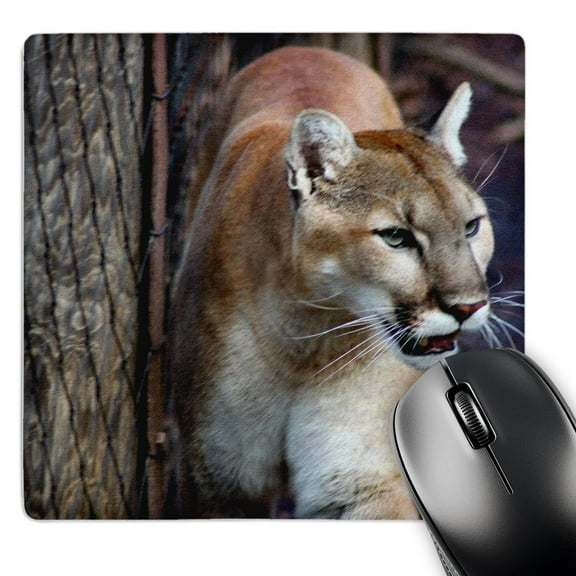 3dRose, Wildlifes Beauty A cougar leaning against a tree, MousePad