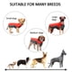 thumbnail image 5 of Abrigo de invierno impermeable para perros, chaqueta cálida para cachorros, chaleco, ropa para mascotas, ropa para perros, 5 of 7