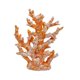 thumbnail image 1 of Escultura Etlemonde con decoración naranja de resina de arrecife de coral, 1 of 7