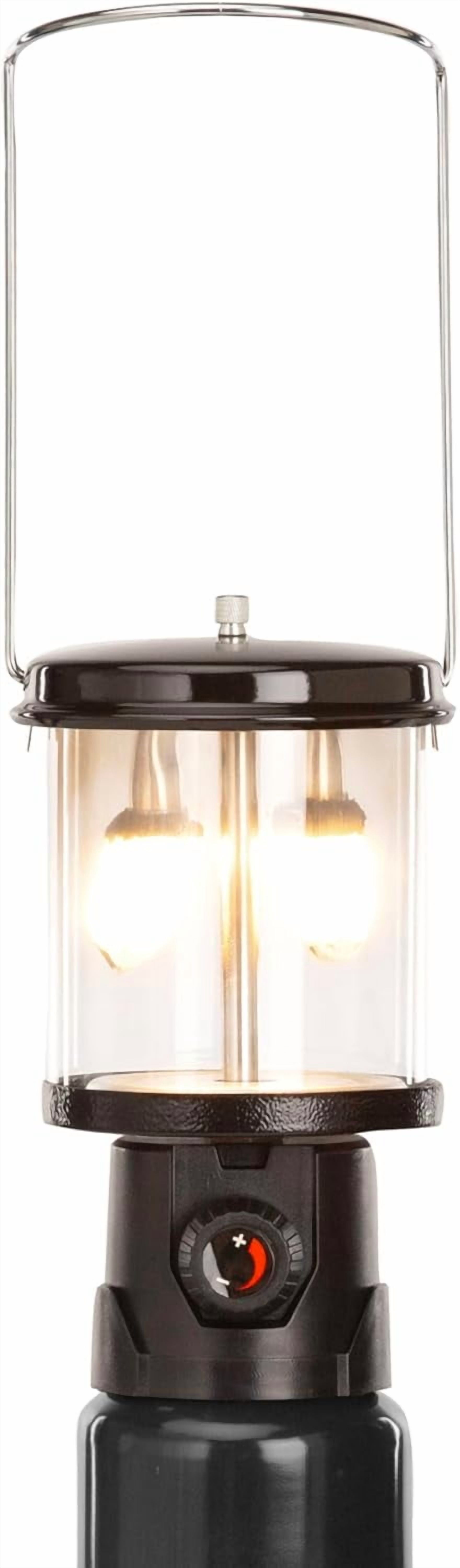 Coleman Dual-Fuel 2-Mantle 285 Lantern — Residential Use, Standard