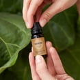 thumbnail image 2 of Edens Garden Frankincense Around The World Essential Oil- 100% Pure Premium Grade, Undiluted, Natural, Therapeutic, Aromatherapy, The Best for Diffuser, Skin, Face, Hair 10 ml (.33 fl oz), 2 of 9