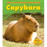 Capybara
