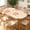 Beige Bloom, variant on ARTSLION Elastic Tablecloth For Oval Tables, Waterproof Tablecover For Up To 42X68in Oval Table Cover, Dining Tablecover For Indoor And Outdoor, Holiday, Pink Striped