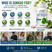 VH Nutrition Ginkgo Biloba Supplement 550mg | Cognitive and Memory Support* | Boost Mental Clarity and Focus | Brain Health Supplement | 60 Capsules