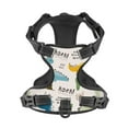 thumbnail image 4 of Gaeub Childish Dinosaur Gaeub Childish Dinosaur No Pull Dog Harness, Secure and Adjustable Pet Vest for Outdoor Activities - X-Large, 4 of 9