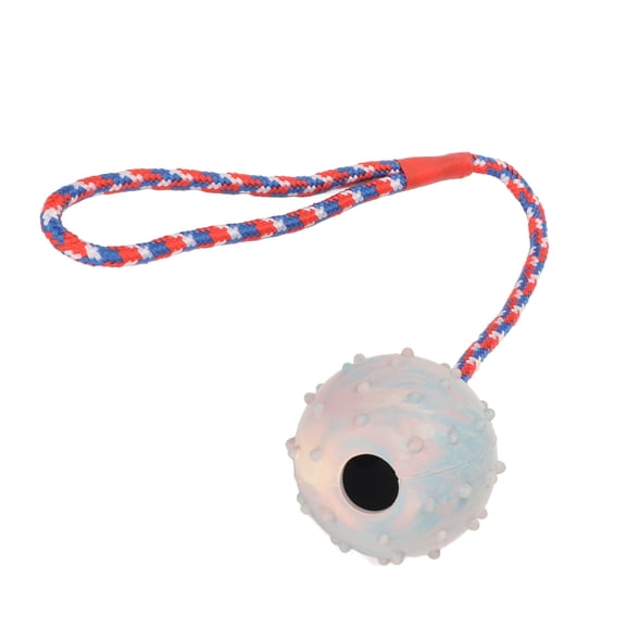 Puppy Dog Teething Toys,Rubber Dog Chewing Ball with Rope Puppy Teething Training Ball Toy for Small Puppies and Medium Dogs