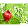 thumbnail image 2 of Cuadros Decorativos Decoraciones navideñas 50x40cm Pintura al óleo por números Imagen DIY Likrtyny embutido en tela, 2 of 7