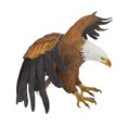 thumbnail image 1 of Polyresin Eagle of Freedom Estatua de pájaro colgante de águi calva Los 225x10cm Zulema Figuras Hugger, 1 of 8