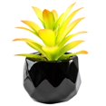 thumbnail image 1 of Artificial Succulent Plant Mini - Plastic Greenery Decoration Faux Potted Plant, 1 of 5